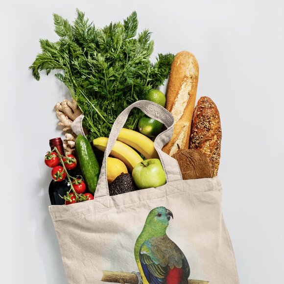 Red-Rumped Parrot Vintage Print Graphic Canvas Tote Bag - Picture 4 of 5